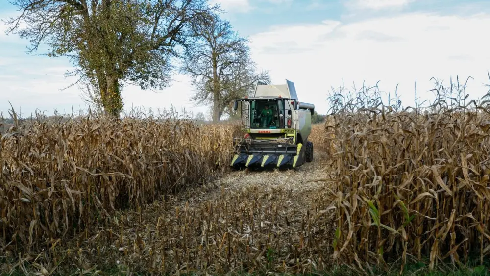 combine-harvester-7550088_1280