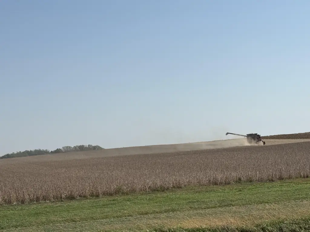 soybean-harvest-stock-photo-10-4-25