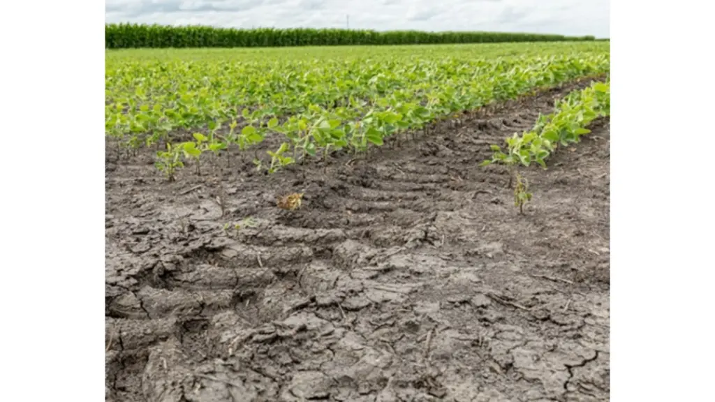 soil-compaction-tracks-field