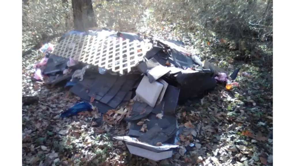 untitled-design-21-4