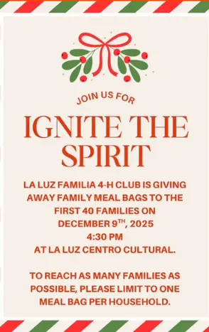 screenshot-2025-11-25-080635