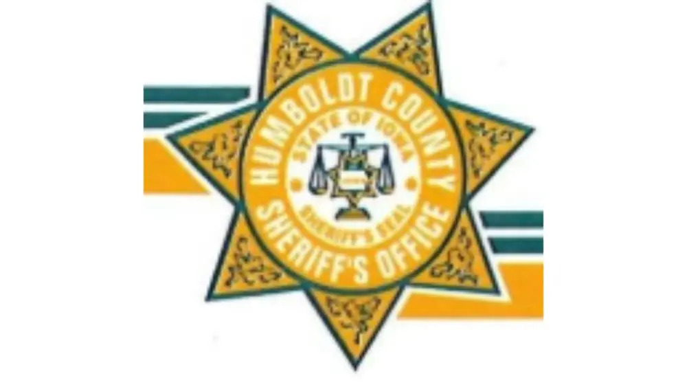 untitled-design-25-2