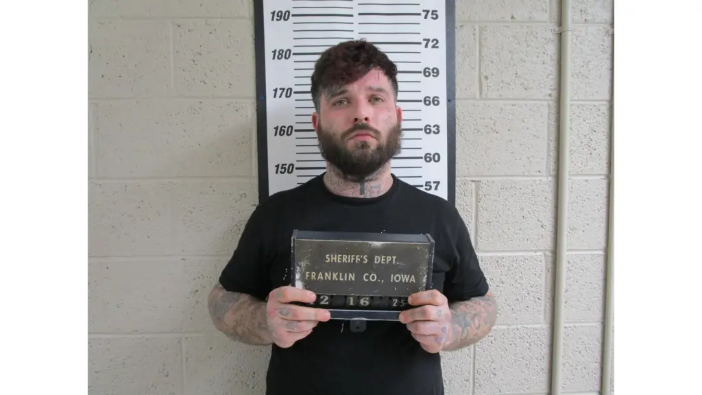 untitled-design-38-2