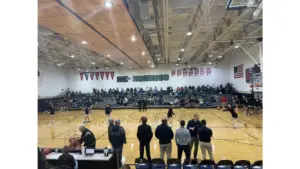 untitled-design-2-11