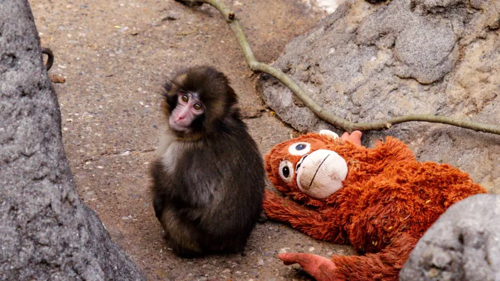 00xp-punch2-qwlg-superjumbo-v2-from-the-new-york-times