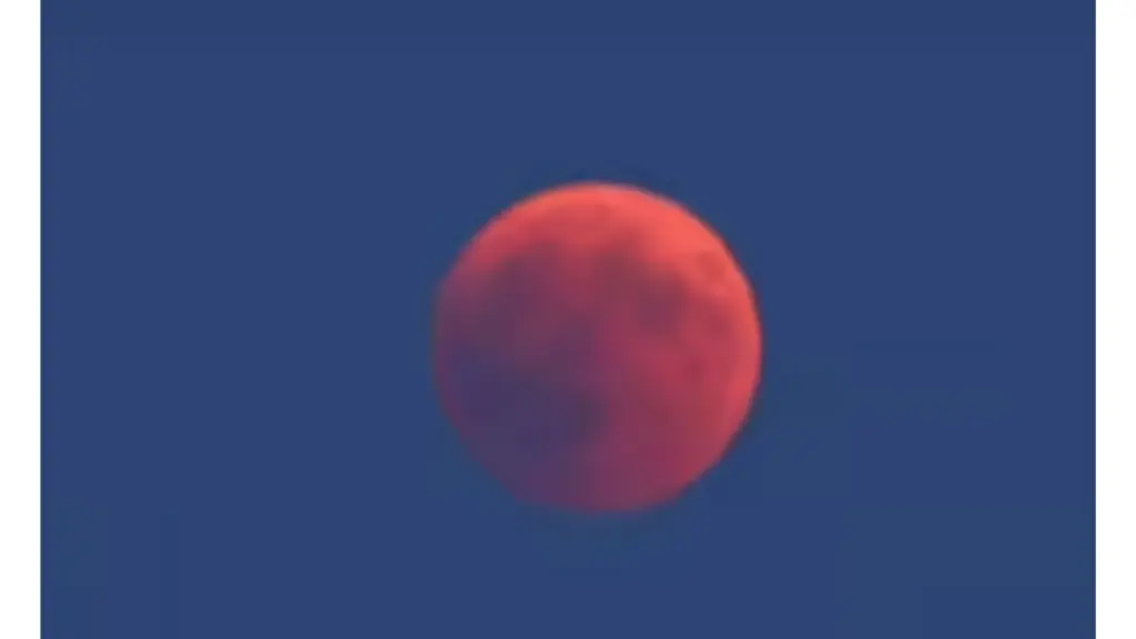 untitled-design-13-7