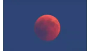 untitled-design-13-7