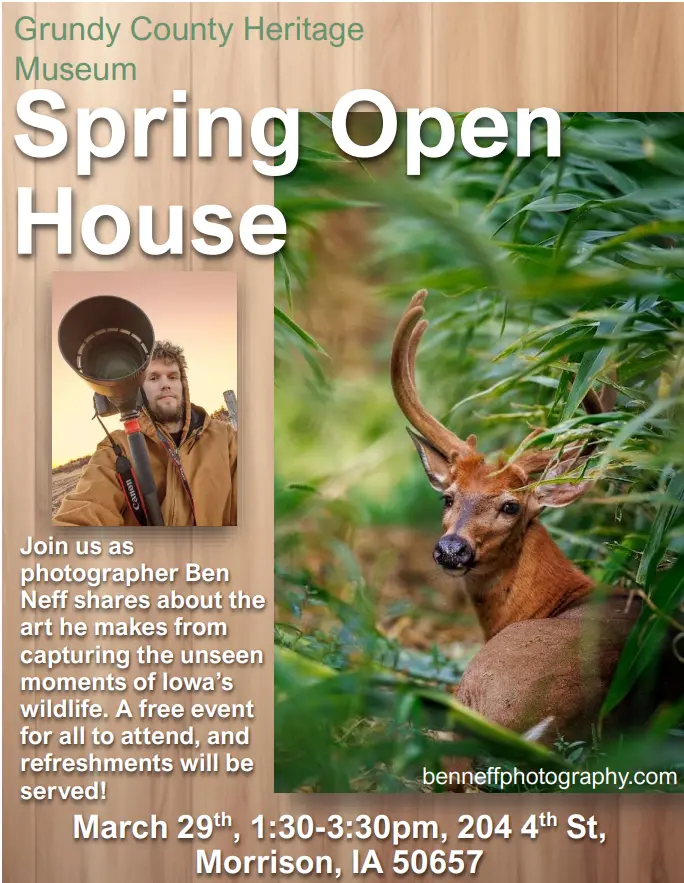 screenshot-2026-03-10-110849