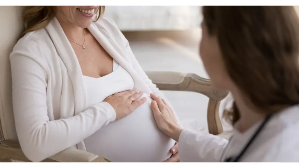 untitled-design-43-3