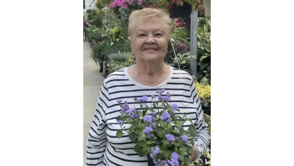 untitled-design-47-2