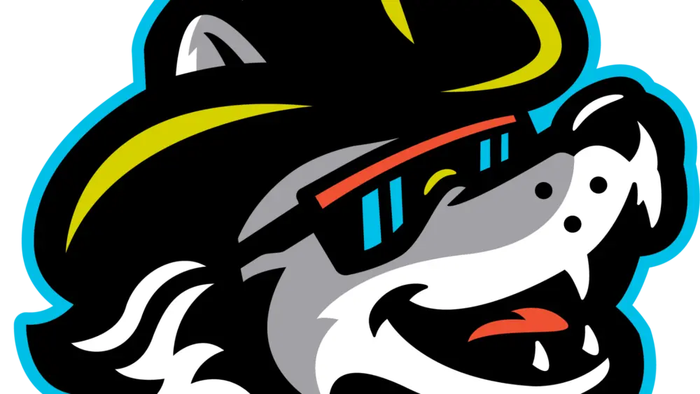 iowawoo_head_blueoutline