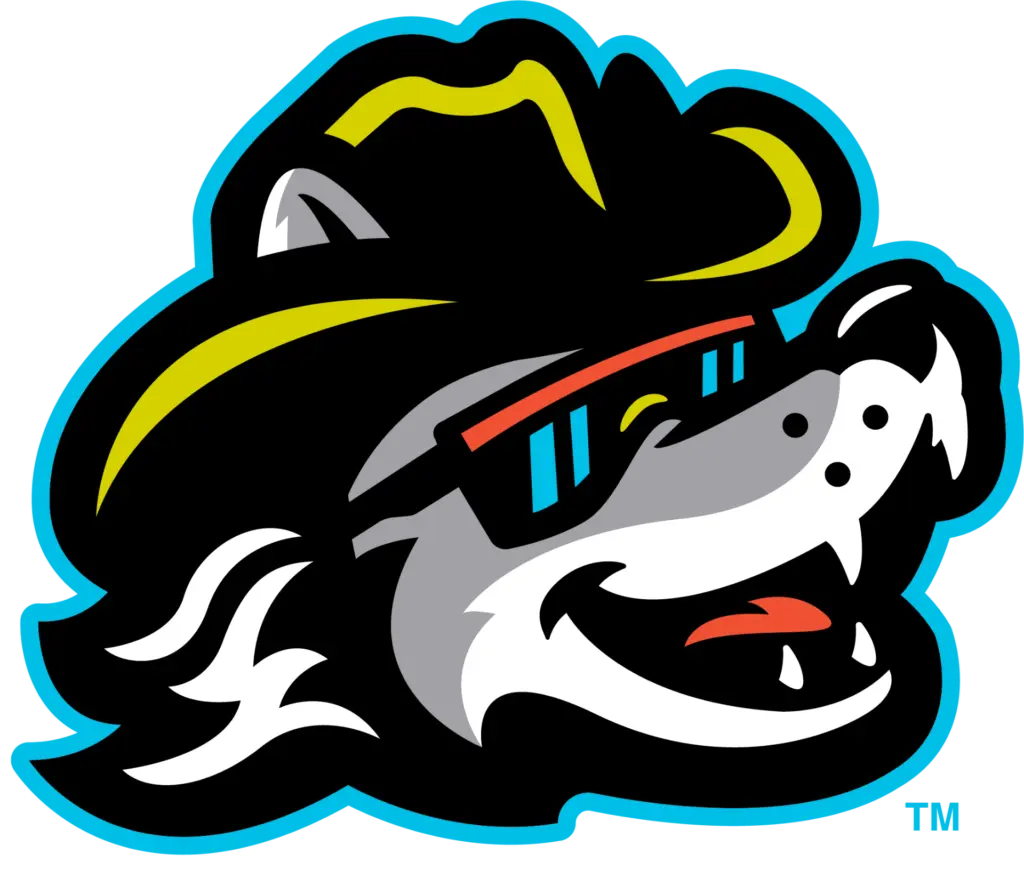 iowawoo_head_blueoutline