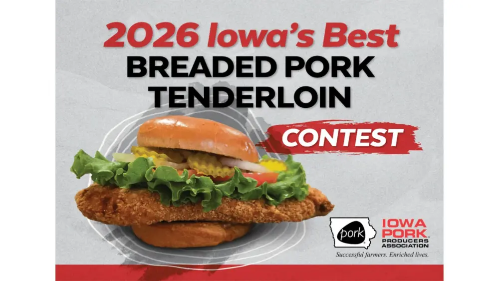 untitled-design-59-2