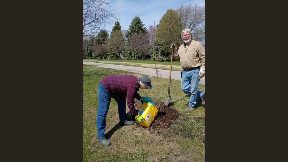 hampton-tree-board-randy-sanders