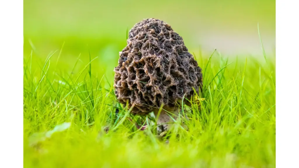 untitled-design-63-2