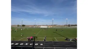 untitled-design-64-2