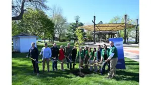 untitled-design-66-2