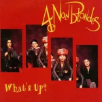 4-non-blondes-whats-up-1993-79
