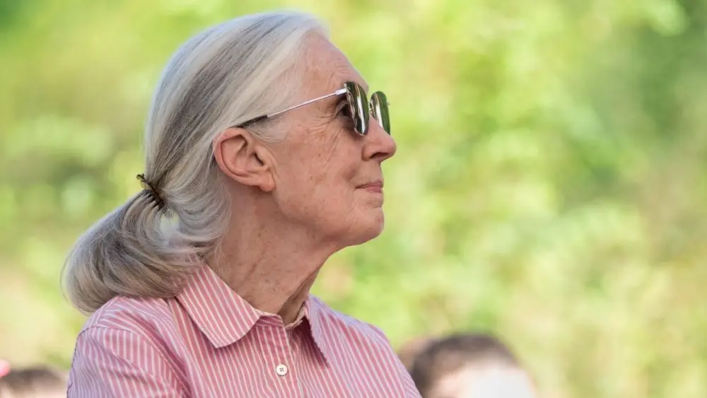 Jane Goodall speaks in Sashegy^ Budapest Budapest^ Hungary - August 09^ 2019