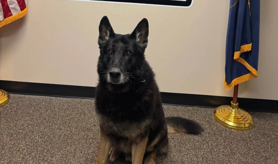 axel