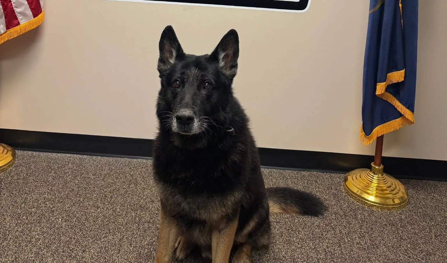 axel