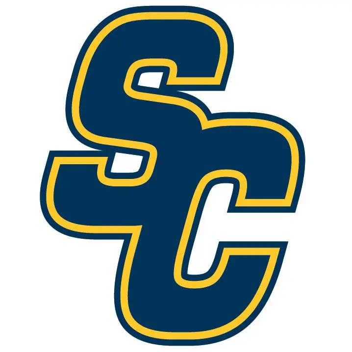 sc-only-small-square-news-blog