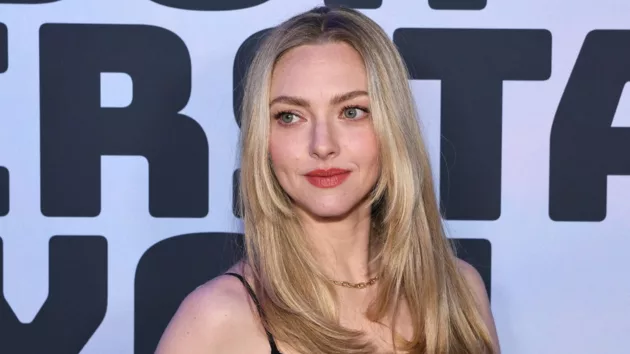 getty_amandaseyfried_062725651170