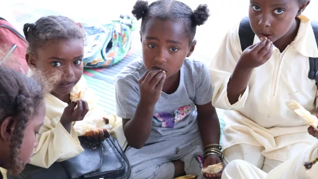 sudan387773