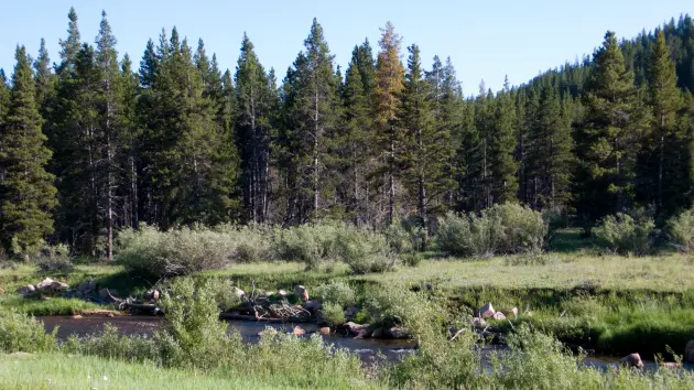 getty_wyoming842053
