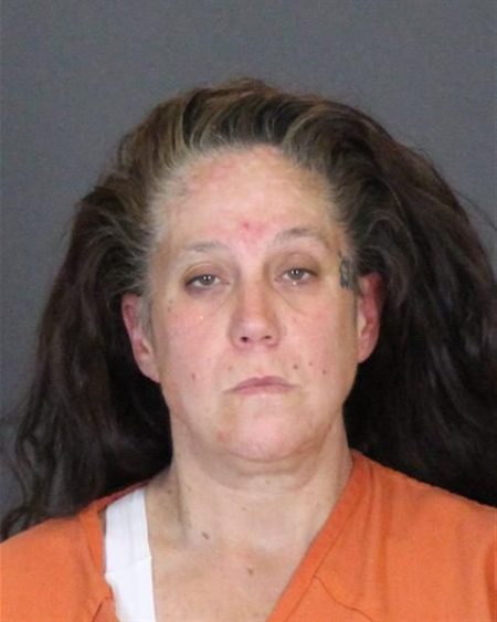 St. Clair County Drug Task Force arrests one, seizes meth during search ...