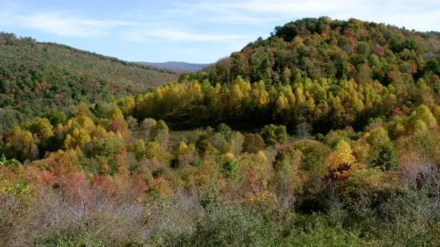 getty_allegheny-mountains-gty-jef-251110_1762790818210_hpmain176853