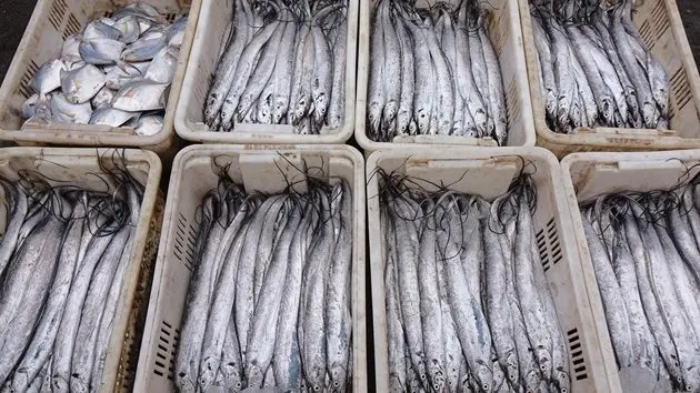 g_seafood_111925481967