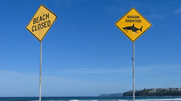 shark20sighted20sign20getty117199