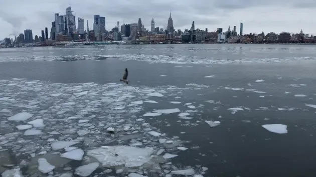 abc_nycice_012826595557