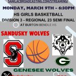 HS Girls Basketball Replay: MHSAA Division 3 Region 23 Semifinal - Sandusky vs. Genesee 3-9-26 episode artwork