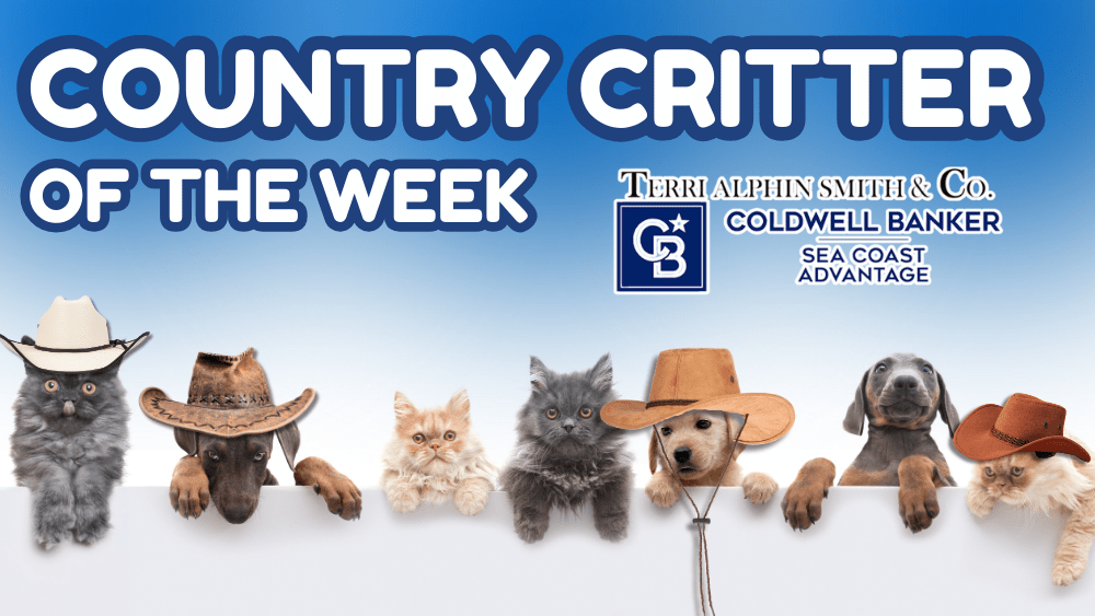 Country Critter of the Week