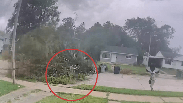 Caught on camera: Cyclist slams into tree during storm