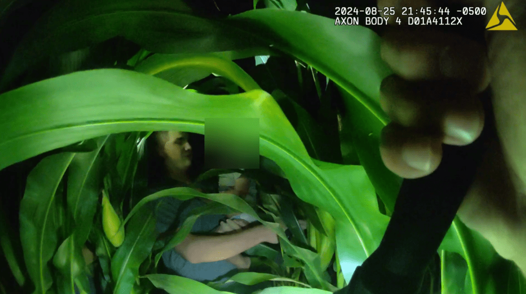 'We're right here, buddy': 3-year-old rescued from Wisconsin cornfield