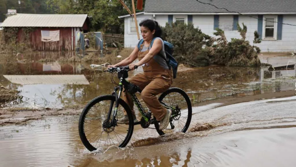 North Carolina distributing Benadryl and EpiPens as bees swarm from Helene flooding