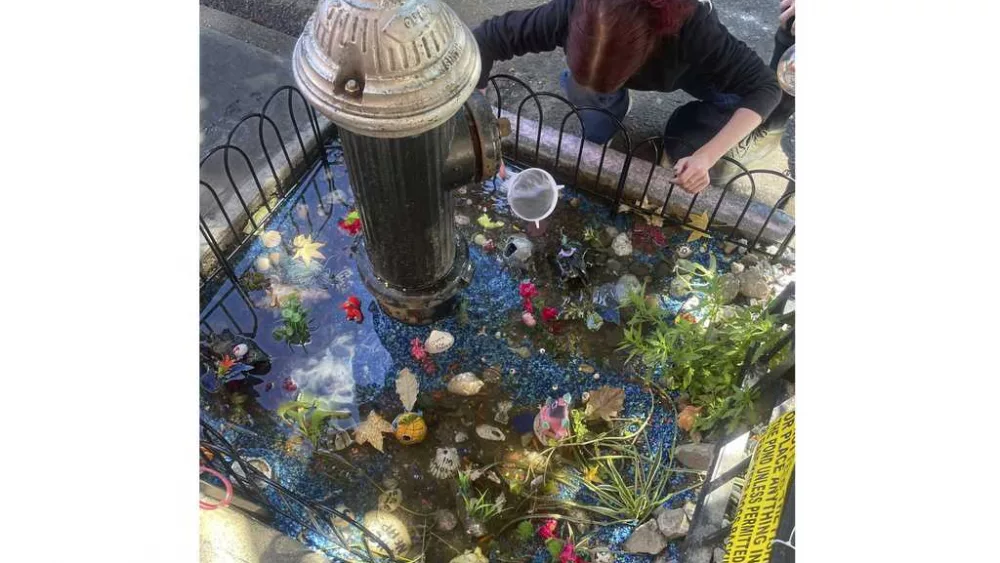 Farewell to a guerrilla goldfish aquarium under leaky NY fire hydrant