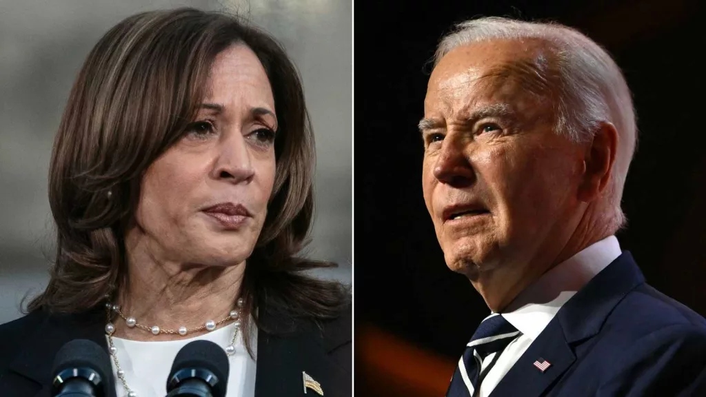 Harris promises to 'represent all Americans' after Biden suggests Trump supporters are 'garbage'