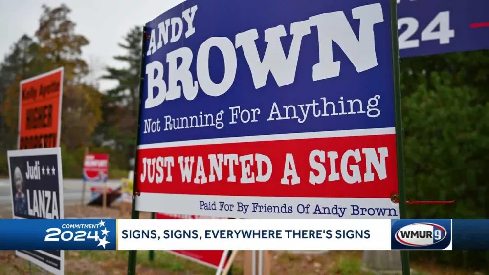 'Just wanted a sign': Man pokes fun at flood of campaign signs