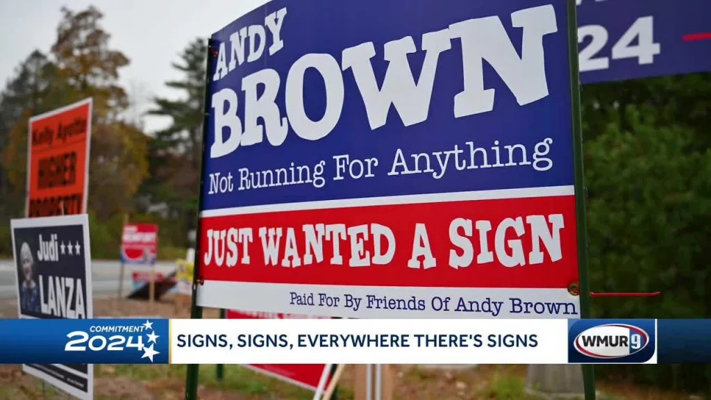 'Just wanted a sign': Man pokes fun at flood of campaign signs