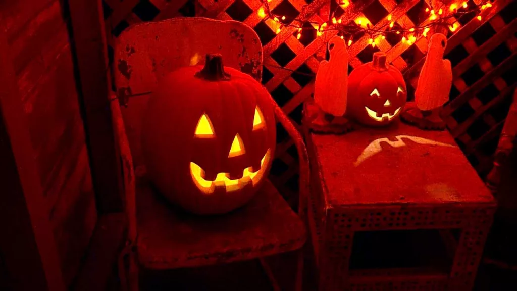 Wicked South Haunted Forest anticipating large turn out for Halloween