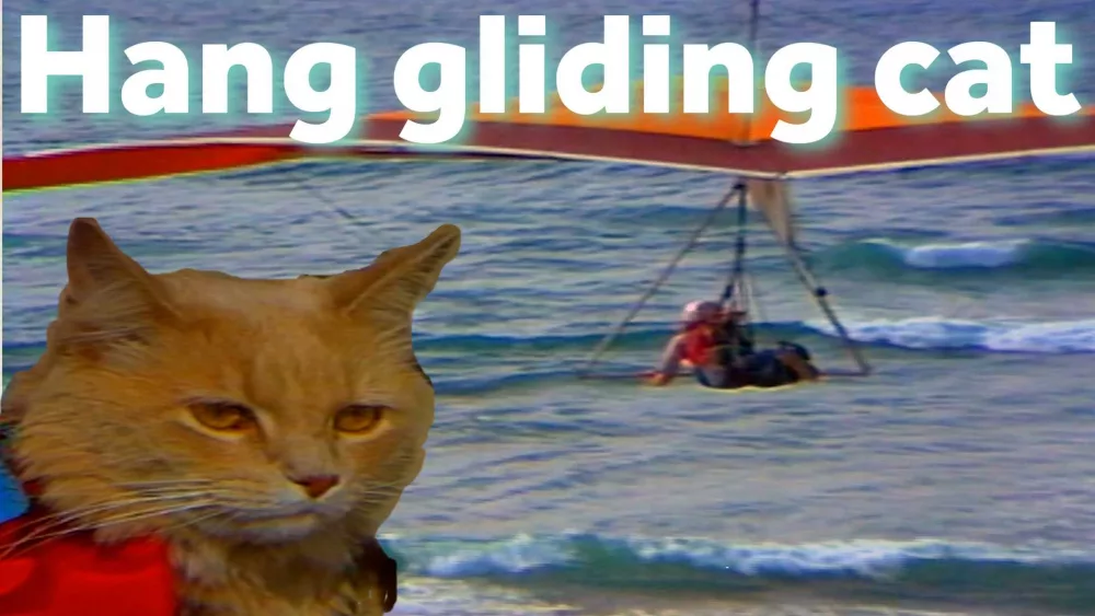 Hang-gliding cat took to the skies in amazing retro find