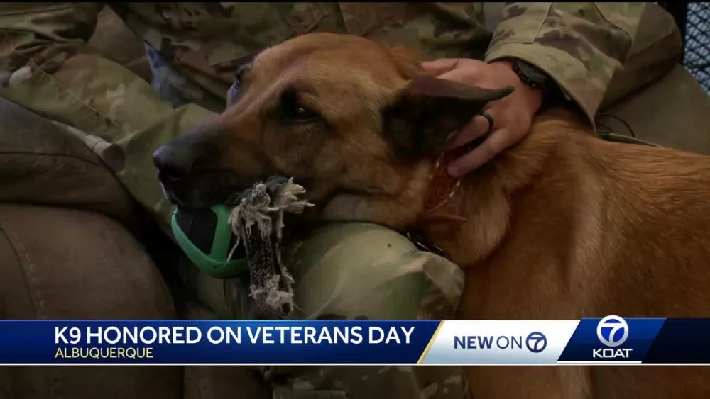 Retired K-9 honored at Air Force Base for Veterans Day