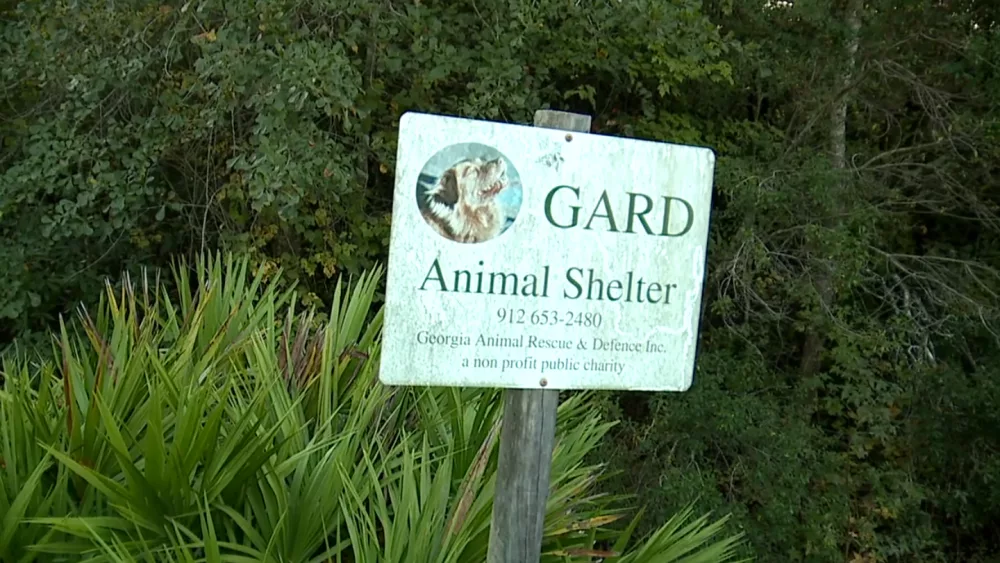 Pembroke animal shelter director arrested, now animals need new homes