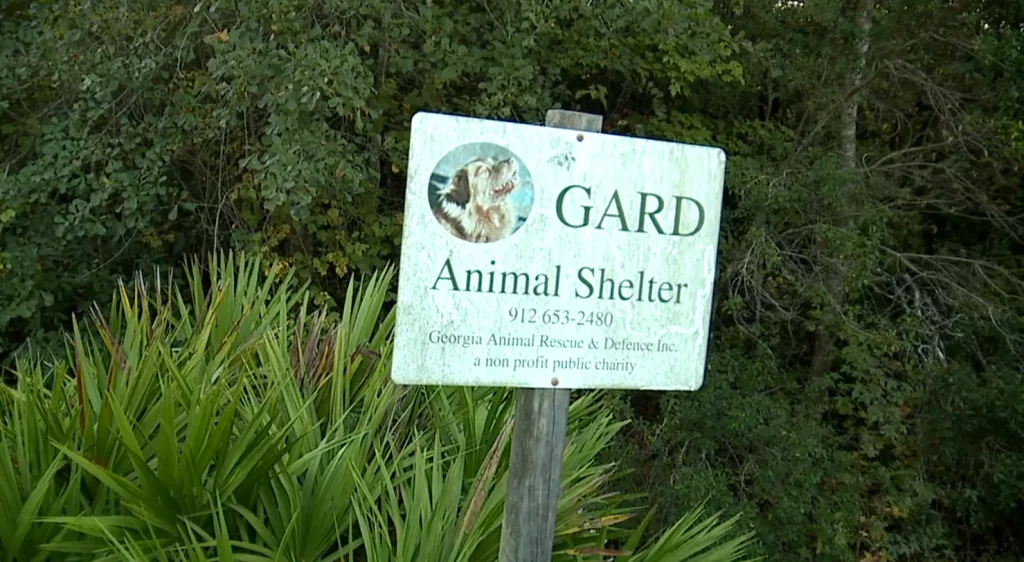 Pembroke animal shelter director arrested, now animals need new homes