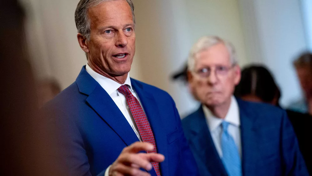 Who is John Thune, the next Senate majority leader?