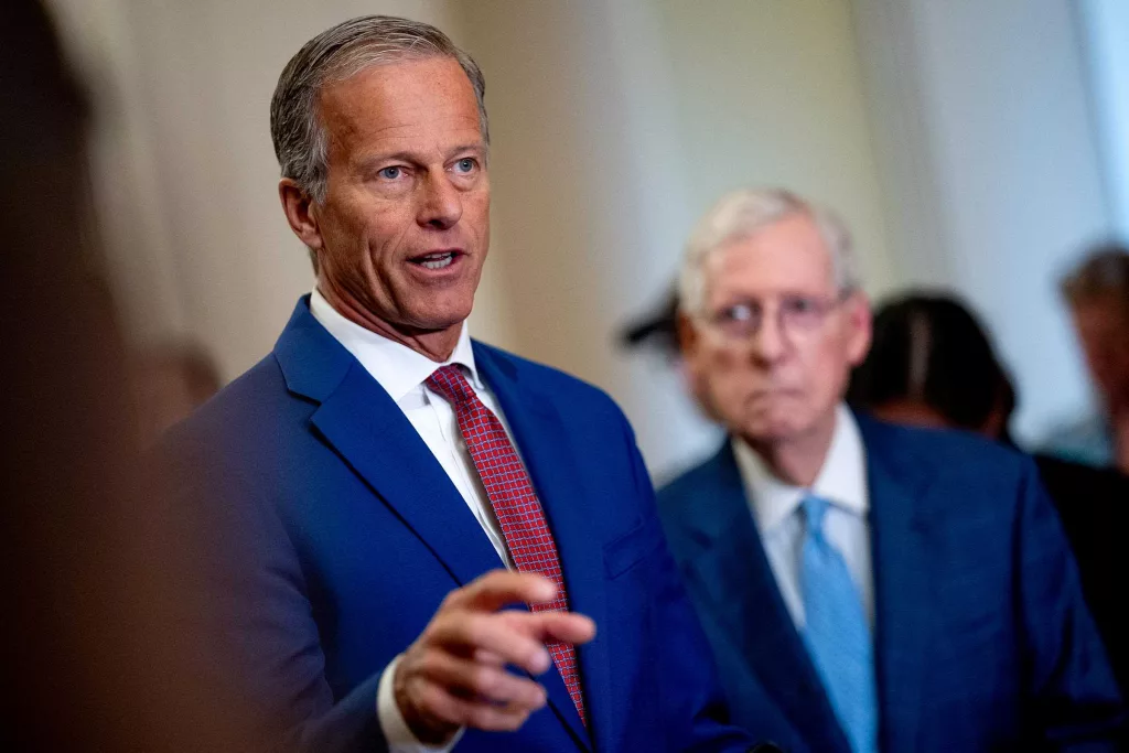 Who is John Thune, the next Senate majority leader?